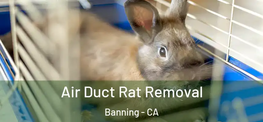  Air Duct Rat Removal Banning - CA