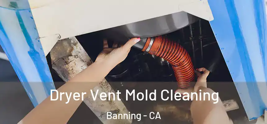  Dryer Vent Mold Cleaning Banning - CA