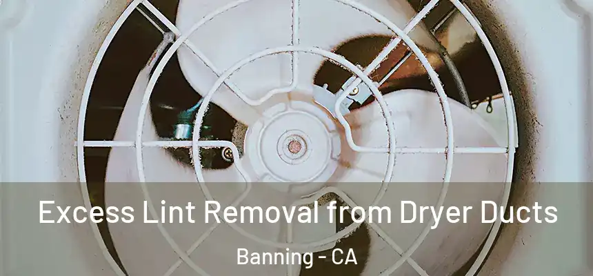  Excess Lint Removal from Dryer Ducts Banning - CA
