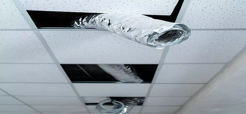 Our Air Duct Pet Hair Removal Services in Banning, CA