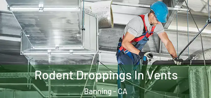  Rodent Droppings In Vents Banning - CA