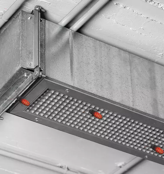 Affordable Insect Removal from Air Ducts in Banning, CA