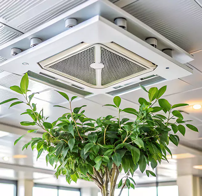 Why Homeowners & Businesses Trust Us in Banning, CA